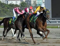 Japanese dictionary search results for じしょ. ã‹ã—ã‚è¨˜å¿µ 2020 ç„¡æ–™äºˆæƒ³ é¦¬é€£ï¼'ç‚¹ ãƒ¯ã‚¤ãƒ‰ï¼'ç‚¹ ã®æŒ‡å®šè²·ã„ç›®ã‚'å…¬é–‹ ç«¶é¦¬äºˆæƒ³ã®ã‚­ãƒ³ã‚°ã‚¹ãƒãƒ¼ãƒ„