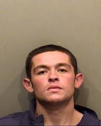 5 drug felonies filed against Bloomington man