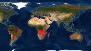 International pirate month link black business month 0uvghekp2jcufm