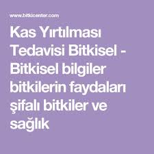 Kas Yirtilmasi Tedavisi Bitkisel Bitkisel Bilgiler Bitkilerin Faydalari Sifali Bitkiler Ve Saglik Strengthen