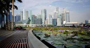 Check spelling or type a new query. Hd Wallpaper Singapore City Buildings Skyscraper Lotus Green Area Lotus Flower Wallpaper Flare