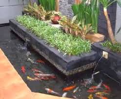 15 ide desain kolam ikan minimalis yang kamu pasti suka! Model Kolam Ikan Hias Minimalis Budidaya Ikan Ikan Hias Resep Ikan Gambar Dan Video