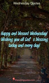 The rules for a happy wednesday are the same rules for a happy life. 250 Wednesday Sayings And Quotes To Push Thought The Week The Saying Quotes