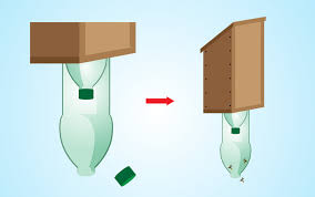 How To Build A Carpenter Bee Trap Bee Traps Carpenter Bee Trap Carpenter Bee