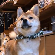 Geoffrey Poon (@HangGeoffrey)