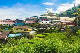 See more of rose centre cameron highlands on facebook. The Ultimate Guide To Visiting The Cameron Highlands Malaysia S Most Popular Mountain Retreat