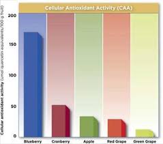 wild blueberry antioxidants health research wbana