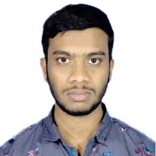 What is the application of linear plasmid?