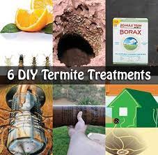 6 Diy Termite Treatments Termite Treatment Diy Termite Treatment Termites