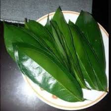 Daun durian belanda ubat kanser. Daun Durian Belanda Dan Kanser