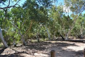 Leave a message and we will get back to you!! Bough Shed Hole Campground Qld
