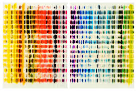 Jaq Chartier Spectrum Chart Warm Colors Vs Cool Colors