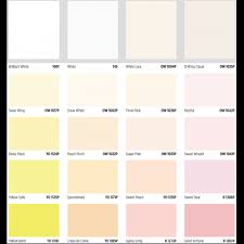 Nippon Paint