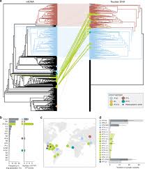 Urmariti acum noul serial turcesc petale de singuratate episodul 30 online subtitrat este difuzat de acasatv, 3 martie 2017 de la ora 18:00. Recurrent Horizontal Transfer Identifies Mitochondrial Positive Selection In A Transmissible Cancer Nature Communications