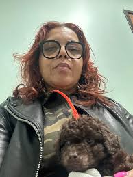 Male chocolate lab puppy with puppy strangles