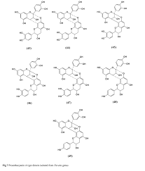 Image result for Pavetta sp. F