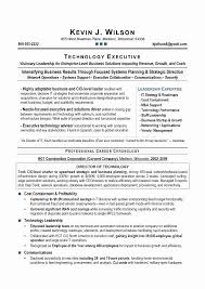 It Director Resume Sample Luxury It Director Cio Sample Resume Executive Resume Writer In 2020 Resume Writing Samples Resume Writing Examples Resume Examples