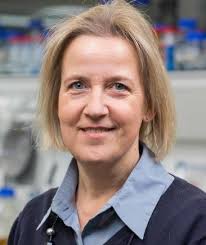 The webinar will start shortly