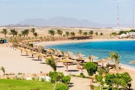Meeting facilities up to 250 persons, high speed wireless internet, laundry and valet, room service 24 hours. Coral Sun Beach 4 Website Safaga Egypt