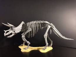 Triceratops Prorsus Skeleton By Rowiac Skeleton 3d Model Print