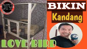 Check spelling or type a new query. Cara Buat Kandang Lovebird Anakan Youtube