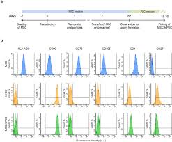 Fish is an important protein for b's this can be seen with the global frequency patterns of the type b blood allele (shown in the map below). A Circular Rna Map For Human Induced Pluripotent Stem Cells Of Foetal Origin Ebiomedicine