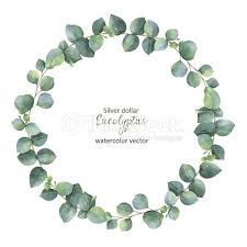 Stock Vector Of Watercolor Vector Round Wreath With Silver Dollar Eucalyptus Vector Art By Elenamedvedeva From Silver Dollar Eucalyptus Watercolor Invitations