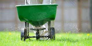 Learn about the best grass fertilizer for new lawns and not so new lawns. When Should I Fertilize My Lawn In New Jersey Healthy Lawn