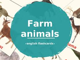 Download Now Or View Online The Free Printable Farm Animals Flashcards For Kids On English Language With Real In 2021 Animal Flashcards Flashcards Flashcards For Kids