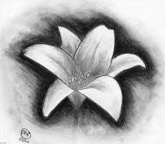 If you want to get in on the action, here are some top tips on how to draw with charcoal for beginners. Learn How To Draw Using Charcoal For Beginners English Edition Free Epub Pdf Reader App 2018