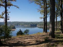 We can provide you with disclosures, past sales history, dates. Land And Lake Lots Northwest Arkansas Commercial Real Estate Nwa Real Estate Jeffallenrealtor Com Lindsey Associates