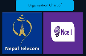 Organizational Chart Of Nepal Telecom And Ncell Company Of