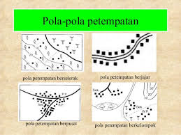 Kegiatan ekonomi bermaksud kegiatan manusia yang mendatangkan nilai dan pendapatan. Petempatan Di Malaysia