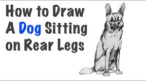 Are you looking for the best images of dog sitting drawing? Draw A Dog Sitting On Rear Legs Easy Drawing Tutorial Youtube