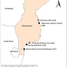 Image result for Ecbolium hastatum