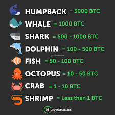 Bitcoin Community Has Ranked Bitcoin Holder According To The Amount Of Btc They Have In Their Bitcoin Wallet So If Anyone Asks You Bitcoin Ranking Community