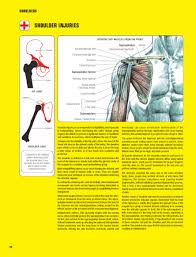 Strength Training Anatomy 3rd Edition Frederic Delavier Strength Training Anatomy Strength Training Weight Training Equipment