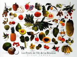 Bann Frui La Renion Pour Apprendre Le Creole Reunionnais Du Monde