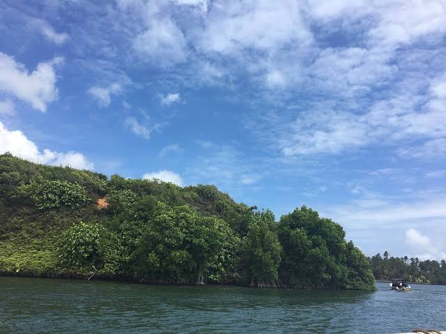 Koggala Lake Cinnamon Island boat tour birdwatching lagoon south coast Sri Lanka