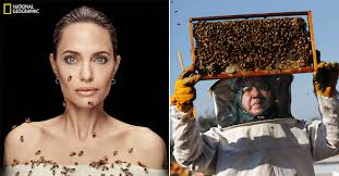 The post shows bees crawling all over her chest, neck and even her face while she appeared completely calm. Jzzuc6clh2ji0m