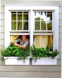 Mar 03, 2019 · window boxes provide the opportunity to grow flowers, fruit, veg and herbs outdoors, without the need for a garden. Window Box Gardening