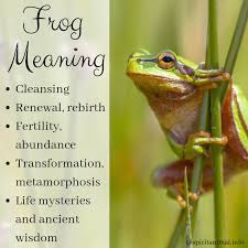 Frog Meaning Spirit Animal Totem Animal Totem Spirit Guides Spirit Animal Quotes