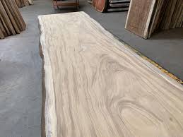 Image result for Orthoclada africana