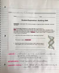 Building dna gizmo worksheet answers key. Https Info Explorelearning Com Rs 481 Gdx 029 Images Using Simulations With Interactive Notebooks Pdf