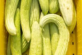 Image result for Cucumis