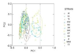 Pancar tarlasından organik bilgiler ile sizlerleyiz. Gambar 3 Diagram Pencar Skor Komponen Utama Sepanjang Komponen Utama 1 Download Scientific Diagram