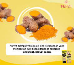 3 manfaat kunyit untuk perawatan wajah di rumah. Ks Fefet Borneo Kunyit Hidup Bagus Untuk Kulit Muka Facebook