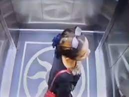 Vídeo | Una mujer muere al caer por el hueco de un ascensor en el  aeropuerto de Indonesia | Vídeos | EL PAÍS