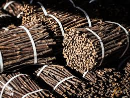 Image result for grapevine cuttings