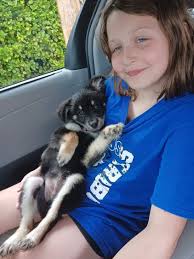 Tango the Tripod has not let life